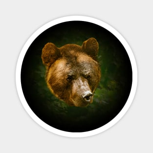 Brown bear portrait Magnet